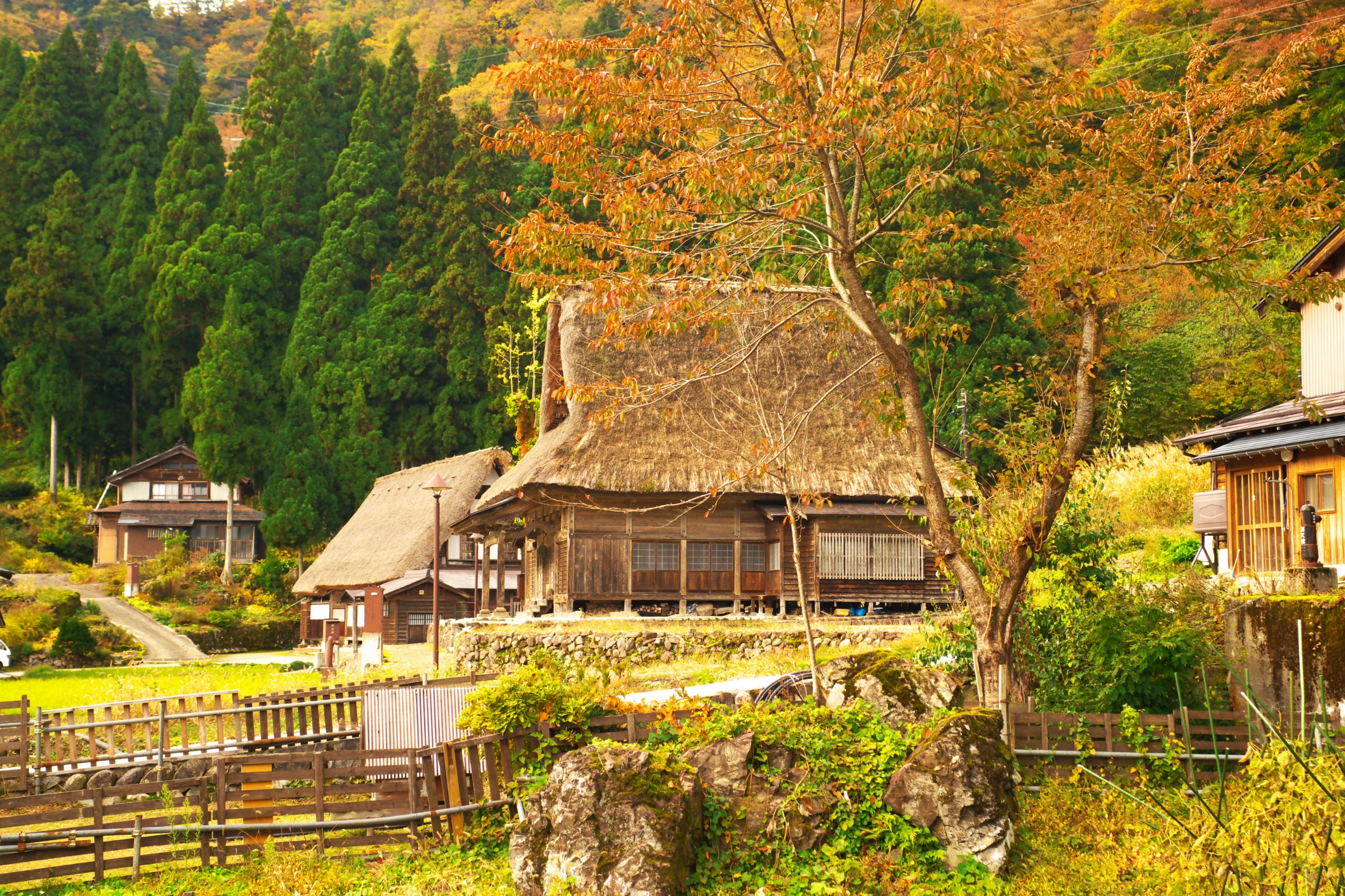 Gokayama[1].webp